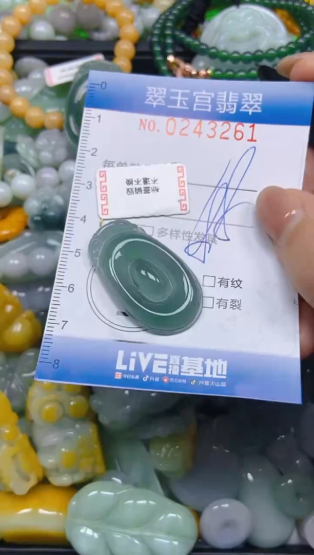 颈饰未镶嵌翡翠闪购C0243261