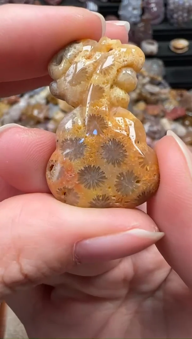颈饰未镶嵌硅化珊瑚（珊瑚玉）467