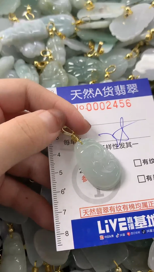 颈饰未镶嵌翡翠天然A货翡翠