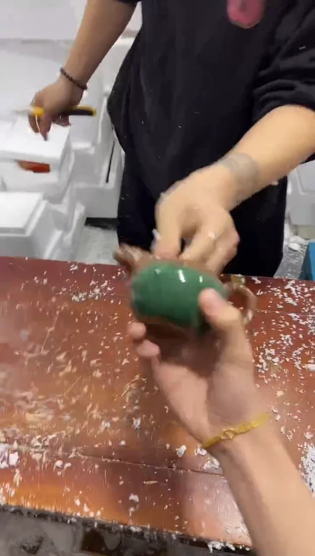 【闪购商品】其他其他其他其他