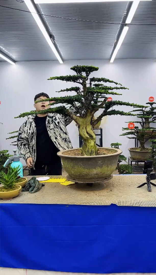 以实际为准来*一物一拍，所见即所得