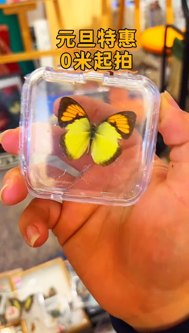 有机玻璃6787+67878