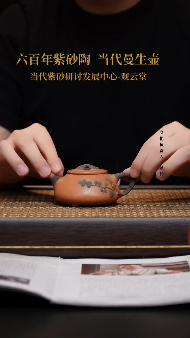 茶壶紫砂壶11 满瓢