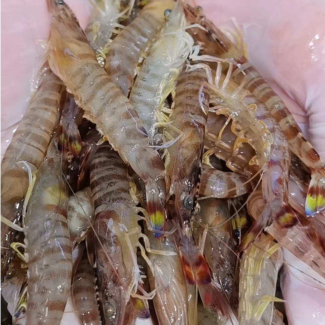 断氧特价-基围虾-仅限直播间