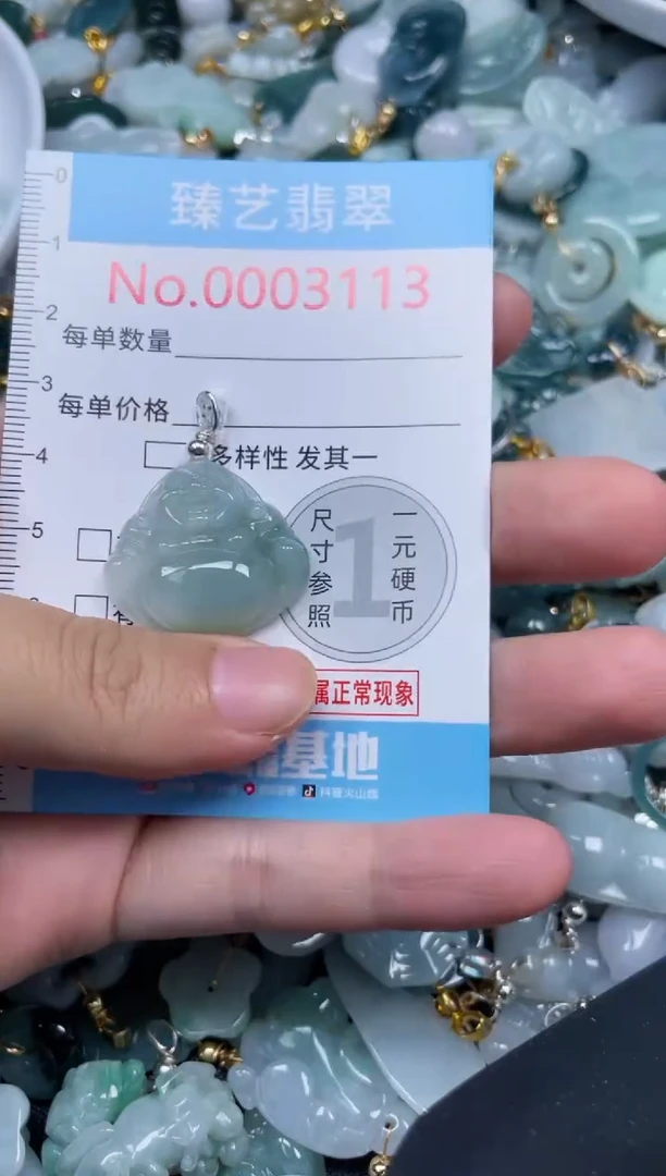 颈饰未镶嵌翡翠3113