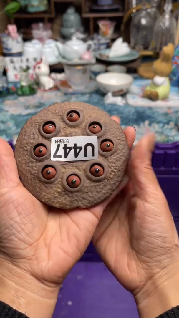 鸿*闪购闪购闪购闪购