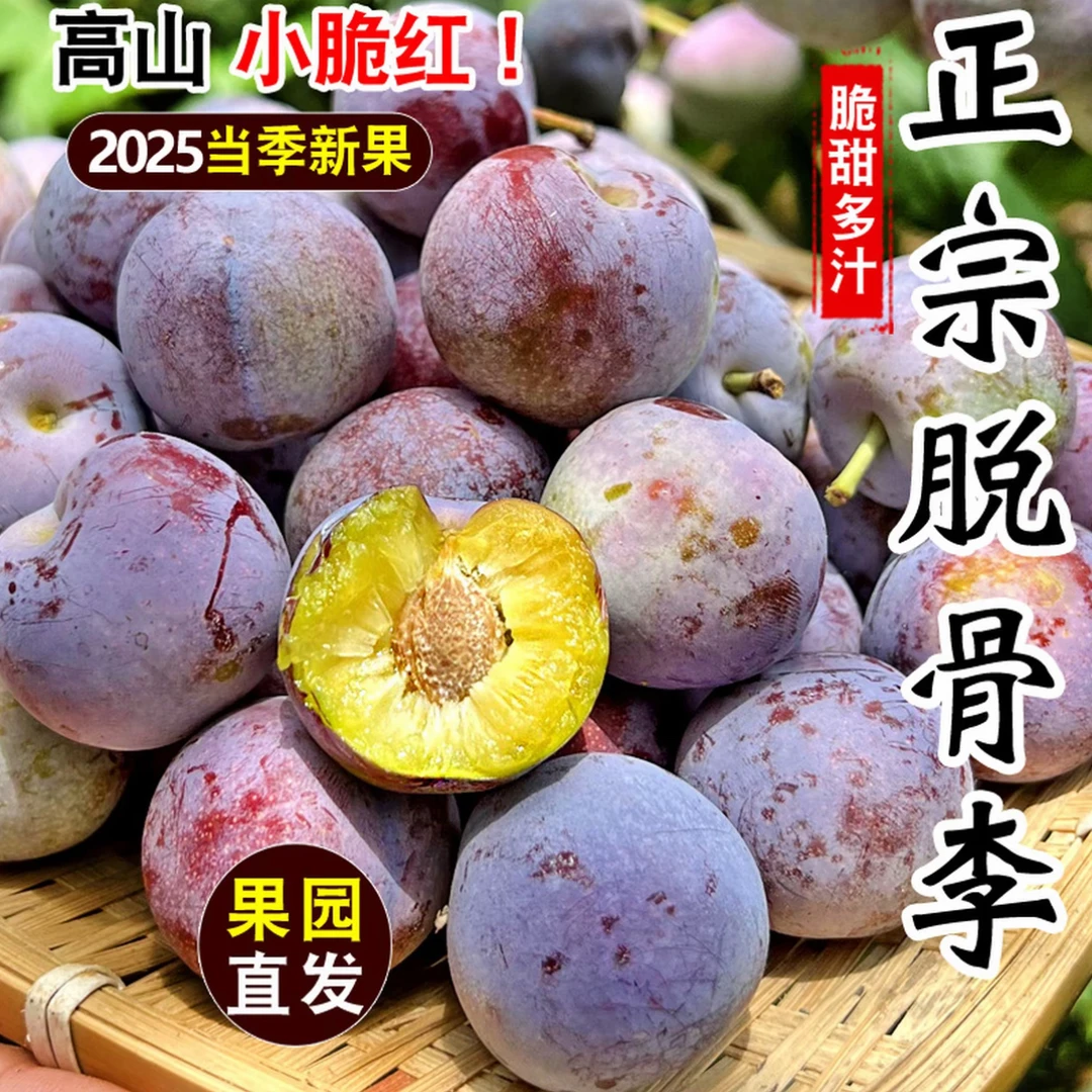 四川正宗脱骨小脆红脱骨李脆甜李当季新鲜脆甜多汁水果小脆红