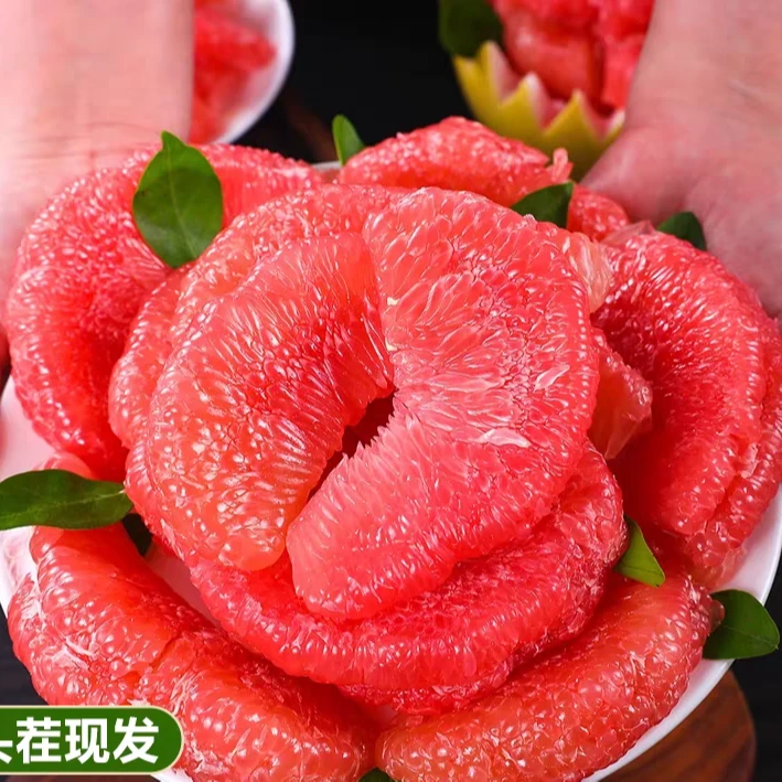 【老树果】当季红心蜜柚高山农家种植红心蜜柚现摘水果柚子鲜嫩多汁