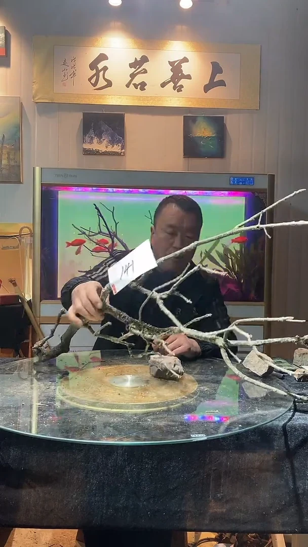 141号天然黄栎木