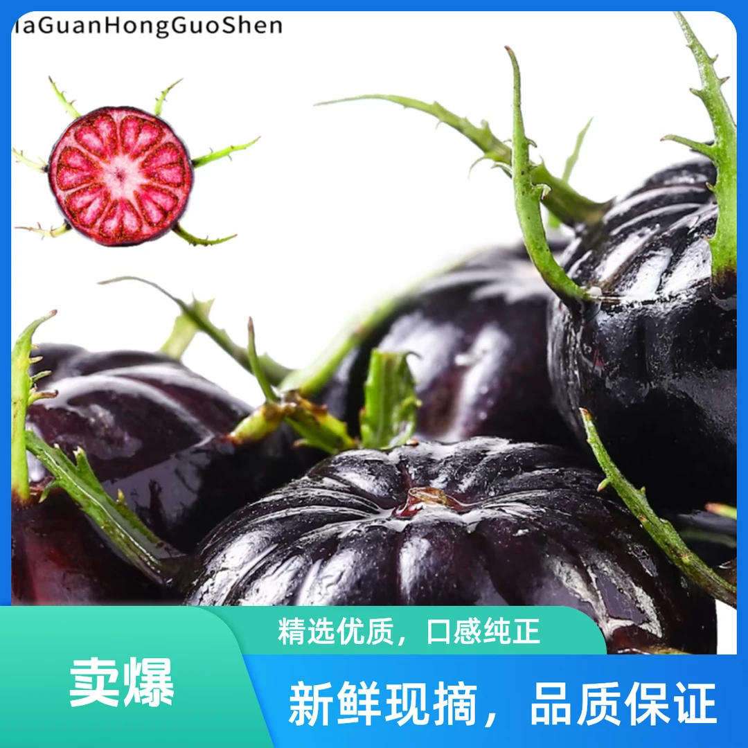 【新年破价福利】云南红果参蜘蛛果 产地现摘现发（花青素 黄铜过敏体质勿拍 ）京东包邮次日达