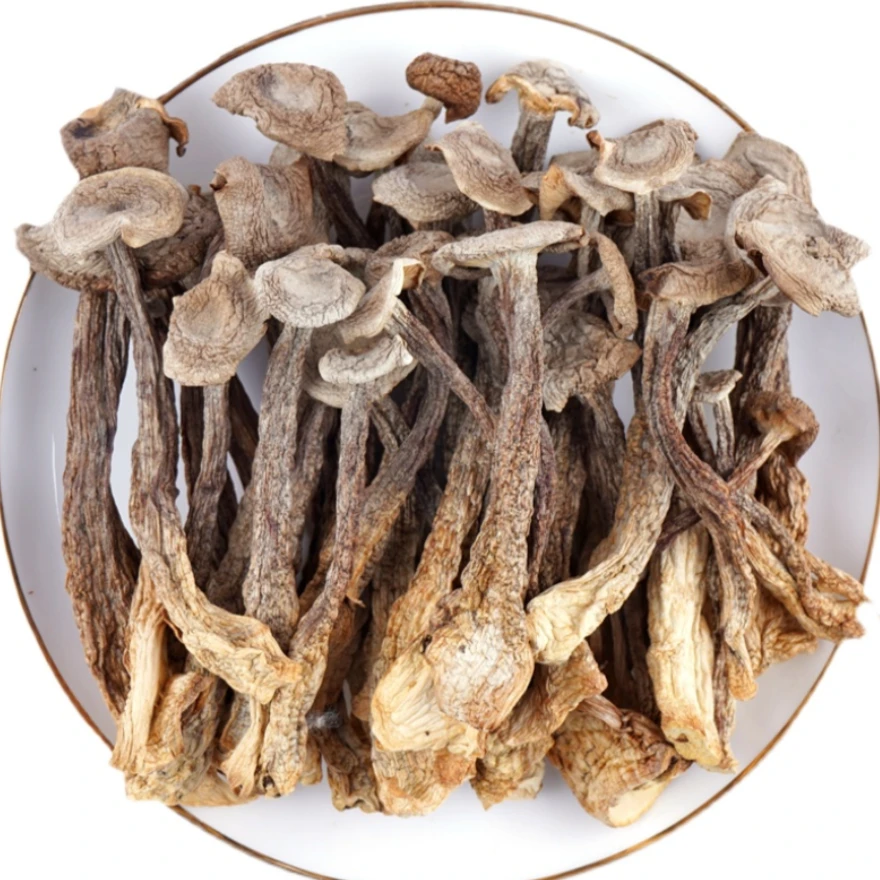 长白山农产品 鹿茸菇250g*1袋 自然晒干 煲汤食材