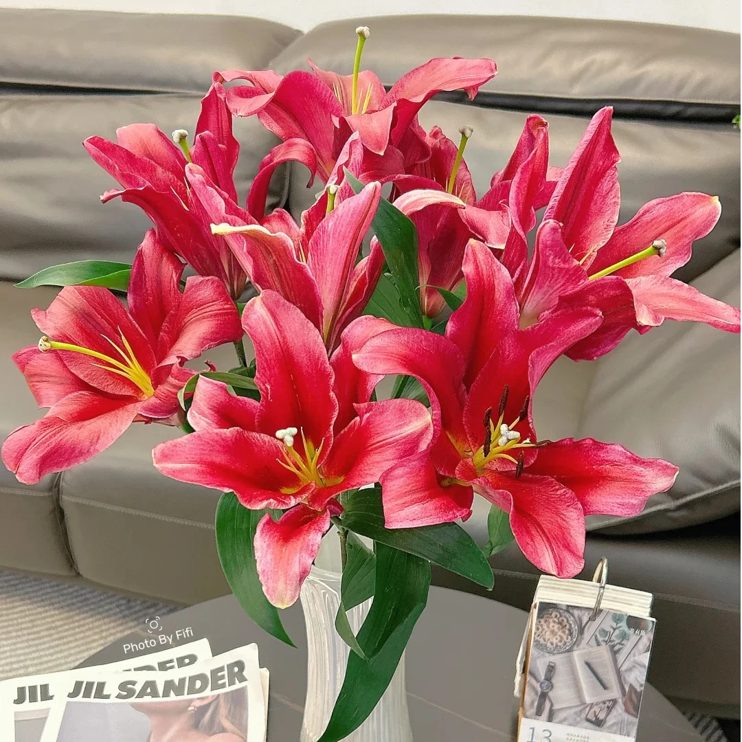 【花言罐舍】永恒的爱香水百合 一单包邮 云南鲜花昆明基地现采现发