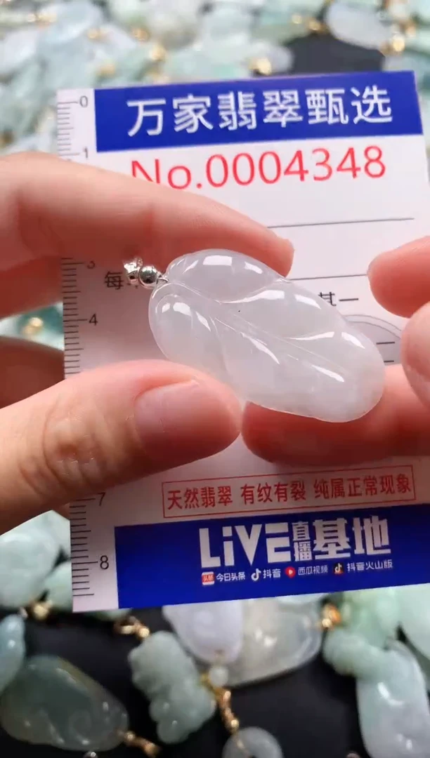 翡翠未镶嵌吊坠(不含链)4348
