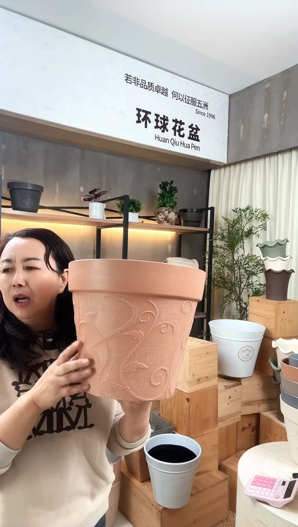 12寸紫苏 圆盆 红陶10个无托