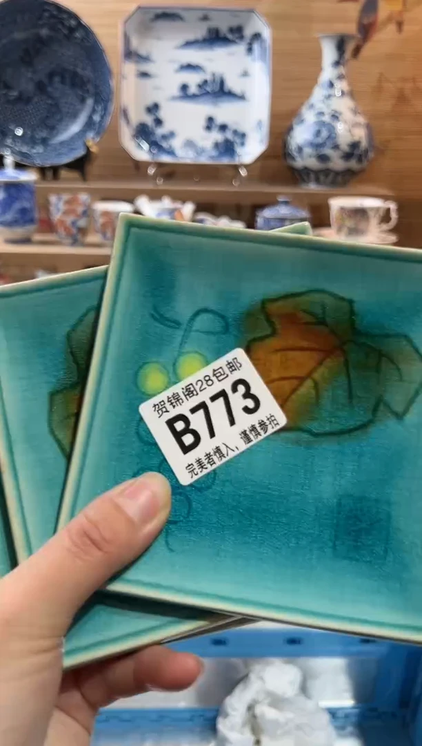 【闪购商品】瓷片当天满28米包邮B773