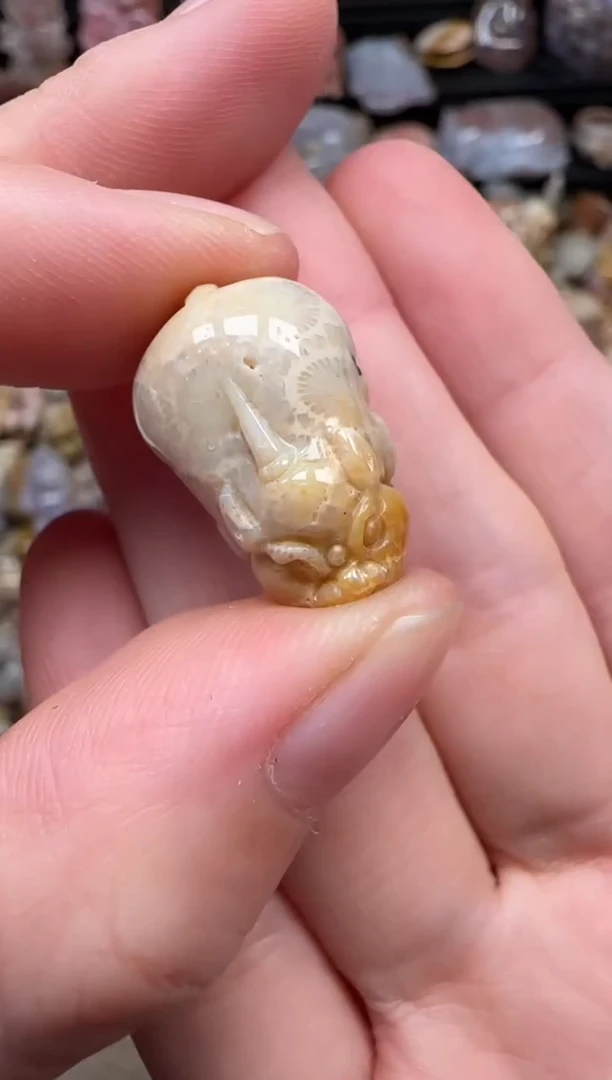 颈饰未镶嵌硅化珊瑚（珊瑚玉）034