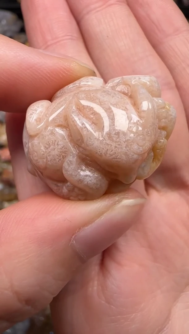 硅化珊瑚（珊瑚玉）未镶嵌颈饰746