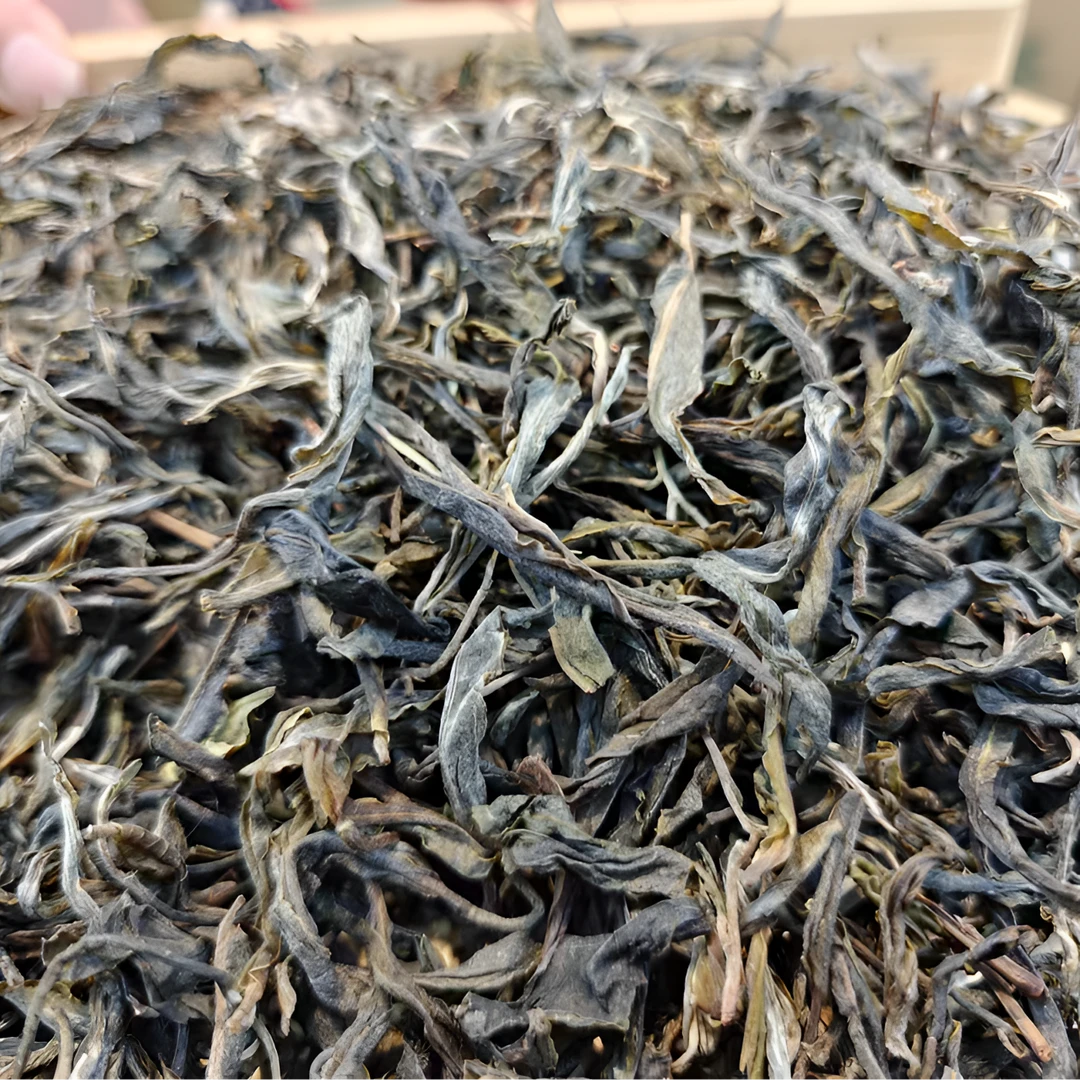 2023年冰岛南迫老树大树混采普洱茶生茶散茶