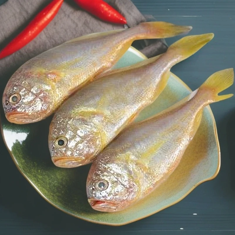 正宗大头宝当季狮头鱼速冻锁鲜细眼梅子鱼黄皮头梅童鱼特级小眼鱼