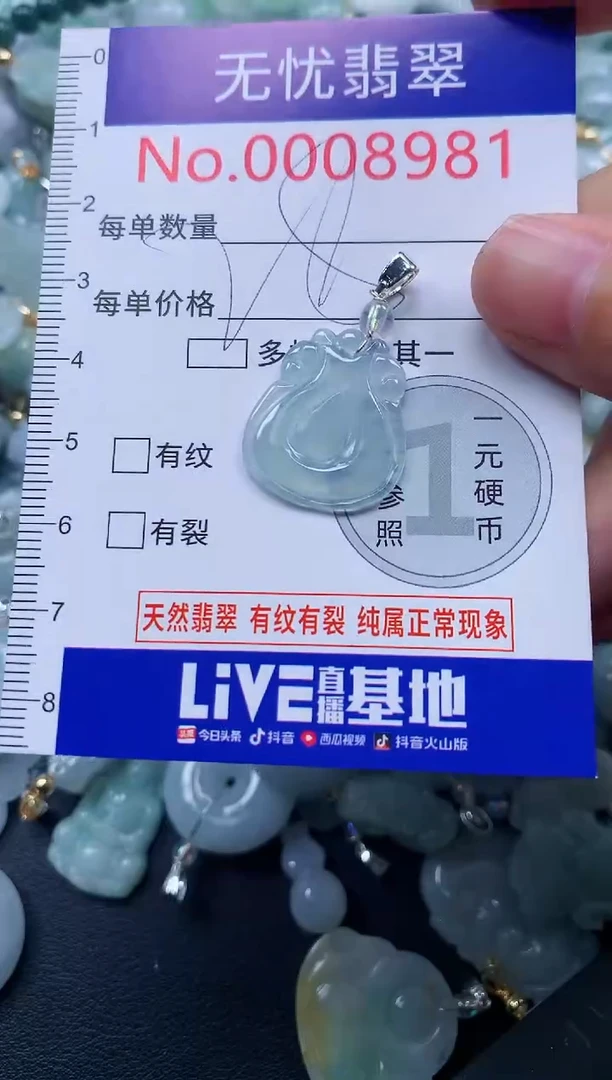 颈饰未镶嵌翡翠8981