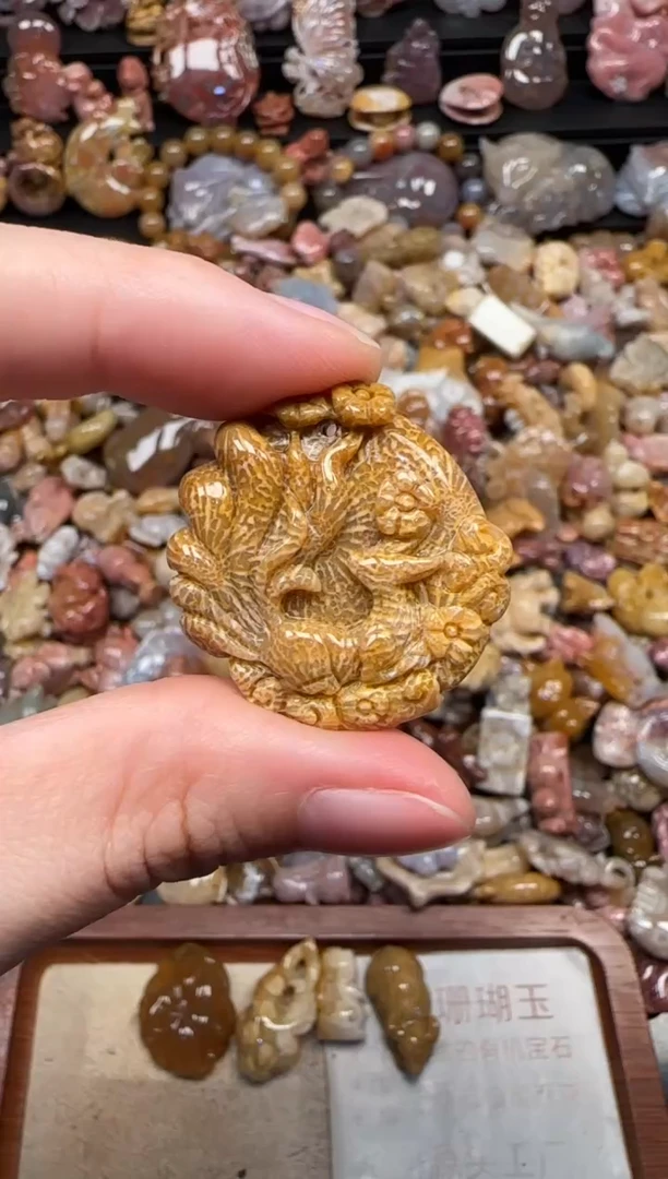 颈饰未镶嵌硅化珊瑚（珊瑚玉）646