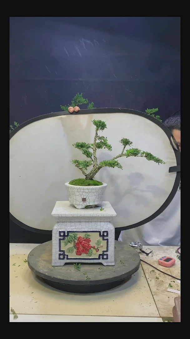 完全开放青****）1111111