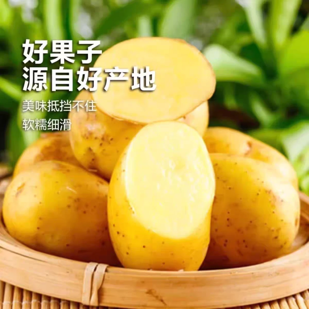 【带箱9.5-10斤】2025新土豆黄皮黄心多仓发货沙糯粉面洋芋蔬菜