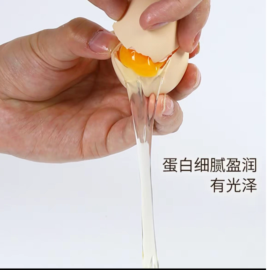 初生草鸡蛋「天燕家庭农场」嫌小勿拍,35-40g/枚
