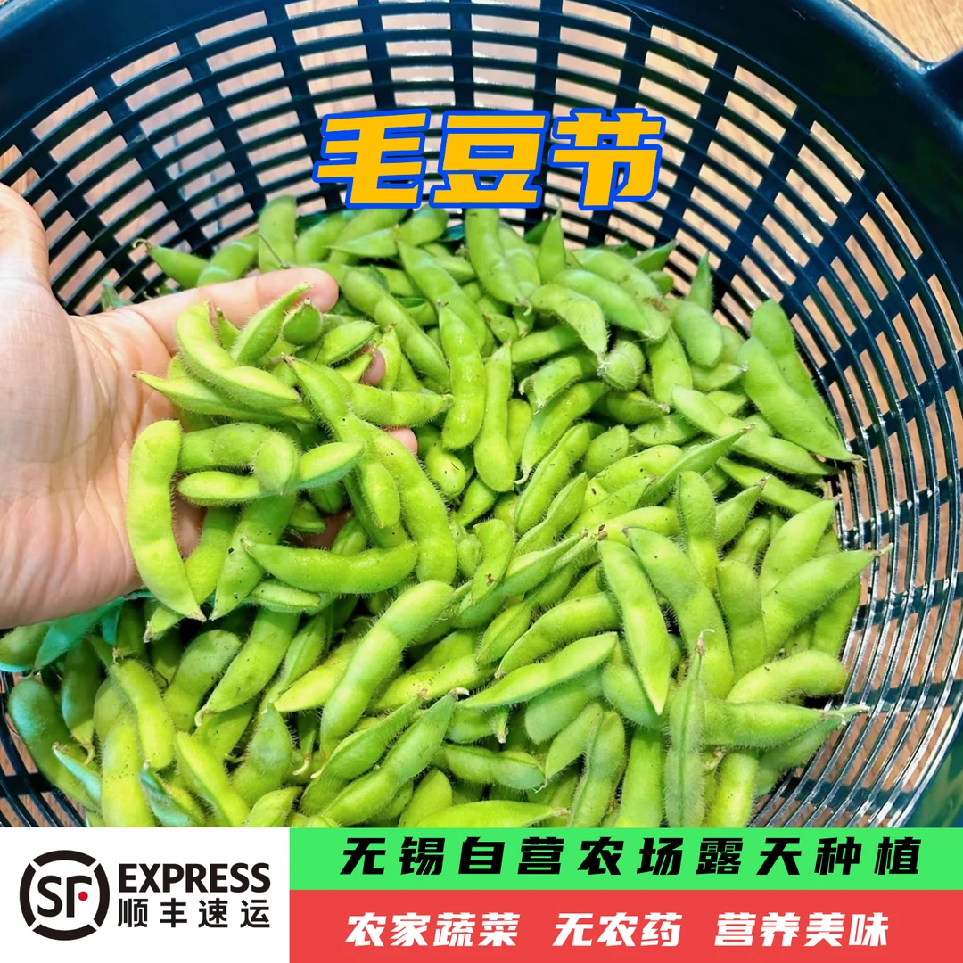 (新上市)本地露天毛豆节顺丰包邮新鲜毛豆毛豆