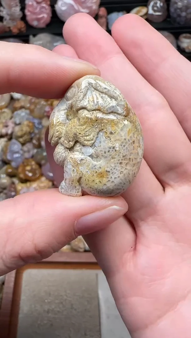 颈饰未镶嵌硅化珊瑚（珊瑚玉）059