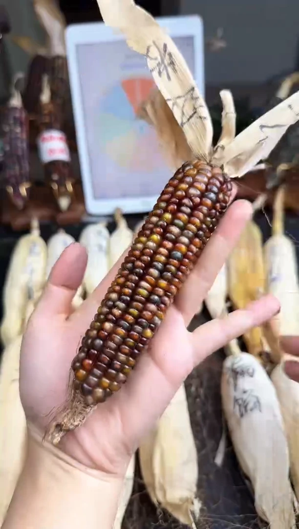 【闪购商品】和哈哈哈哈哈哈哈哈哈哈