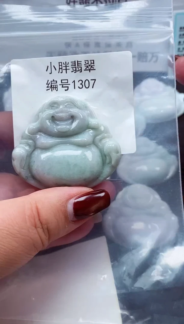 颈饰未镶嵌翡翠缅甸天然A货翡翠1307