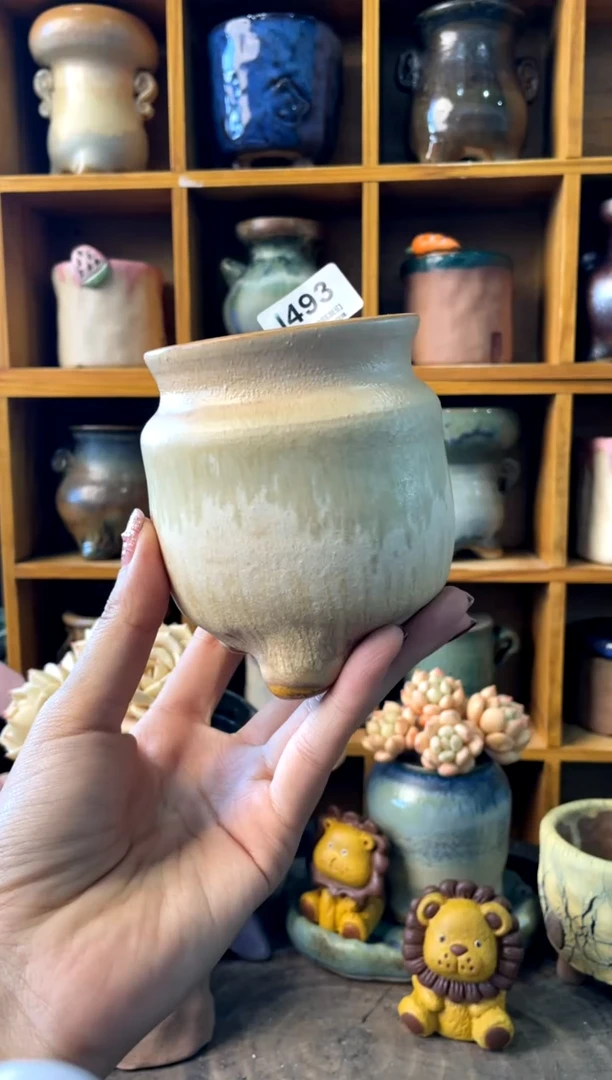 493内口7【多肉花盆多肉盆】