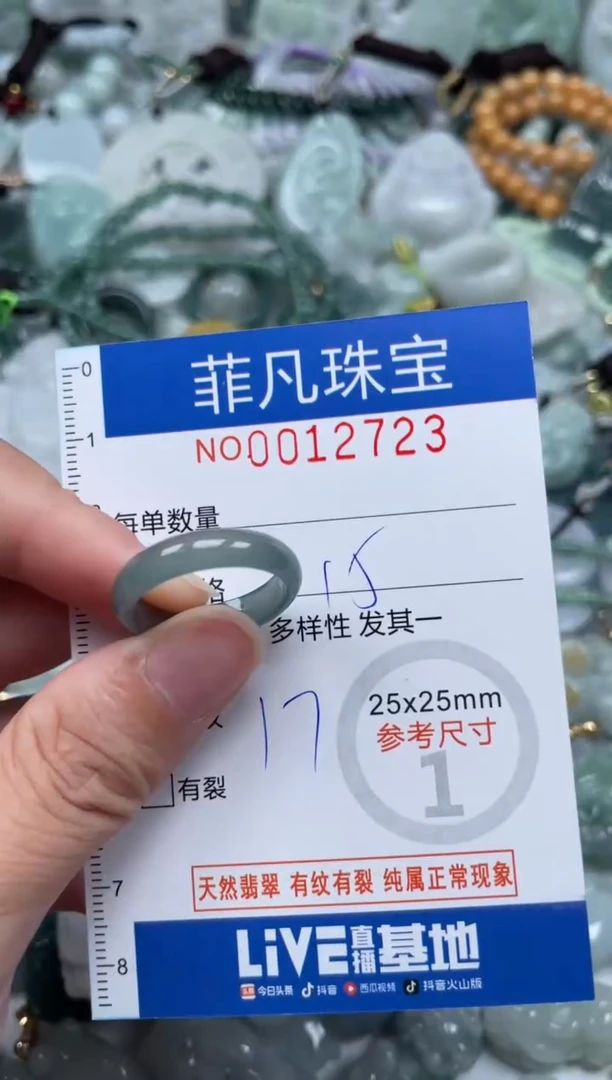颈饰未镶嵌翡翠12723