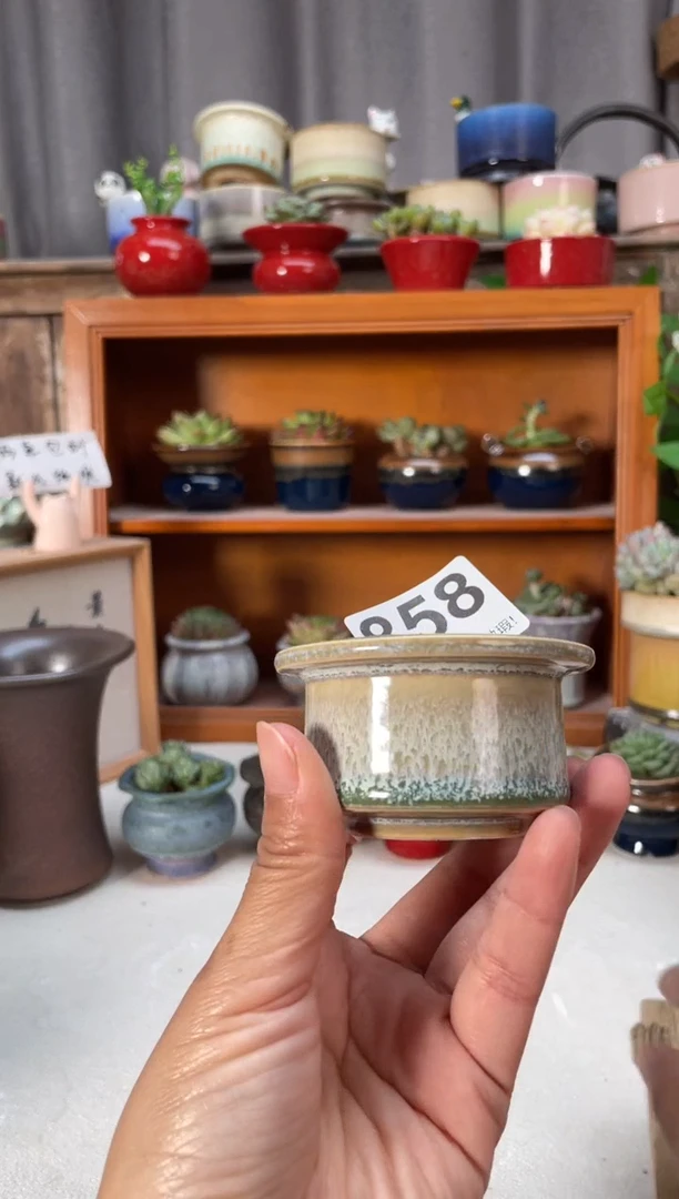 瓷片858知木小芳花盆编号