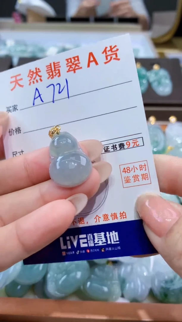 颈饰未镶嵌翡翠天然缅甸翡翠A货挂件