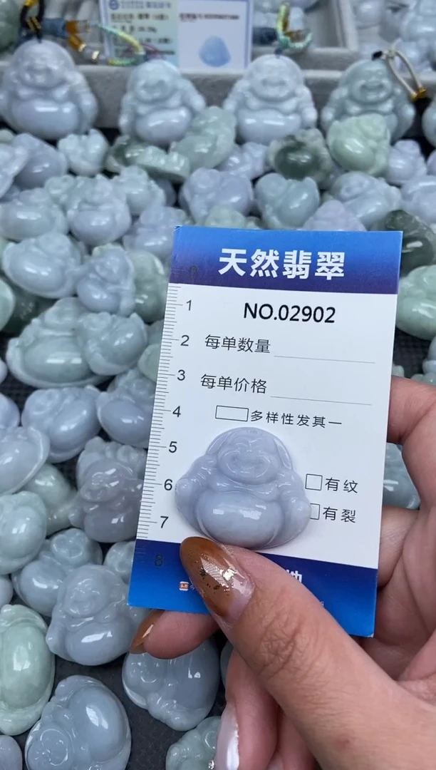 颈饰未镶嵌翡翠纯天然A货翡翠2902