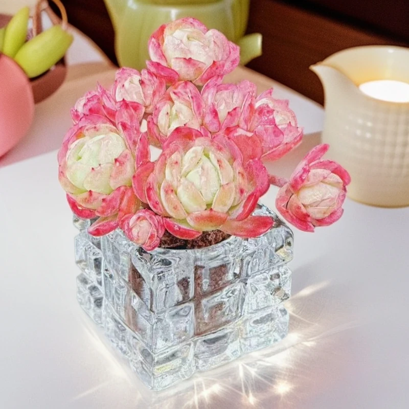 无土多肉香水冰淇淋1颗(含白晶花器