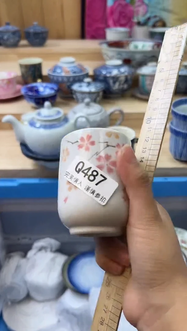 【闪购商品】瓷片487qqqqqqqqqqqq