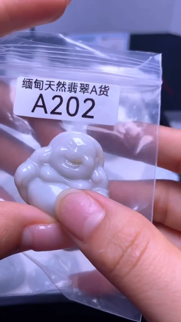 颈饰未镶嵌翡翠A202