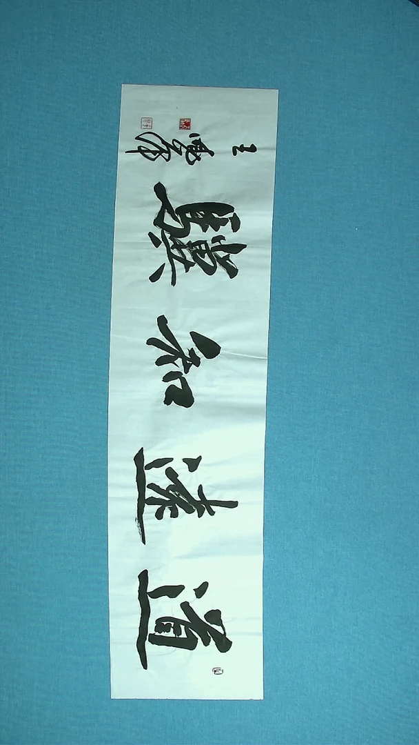 【闪购商品】书法119 河南王晓峰中书协138*34