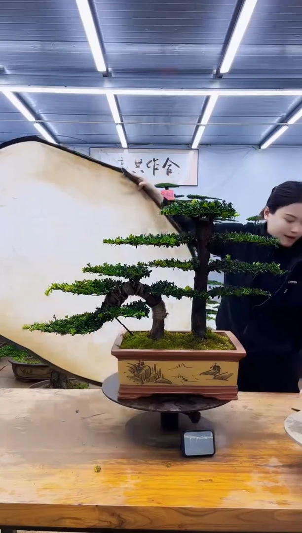 无花朵一物一拍，所见即所得