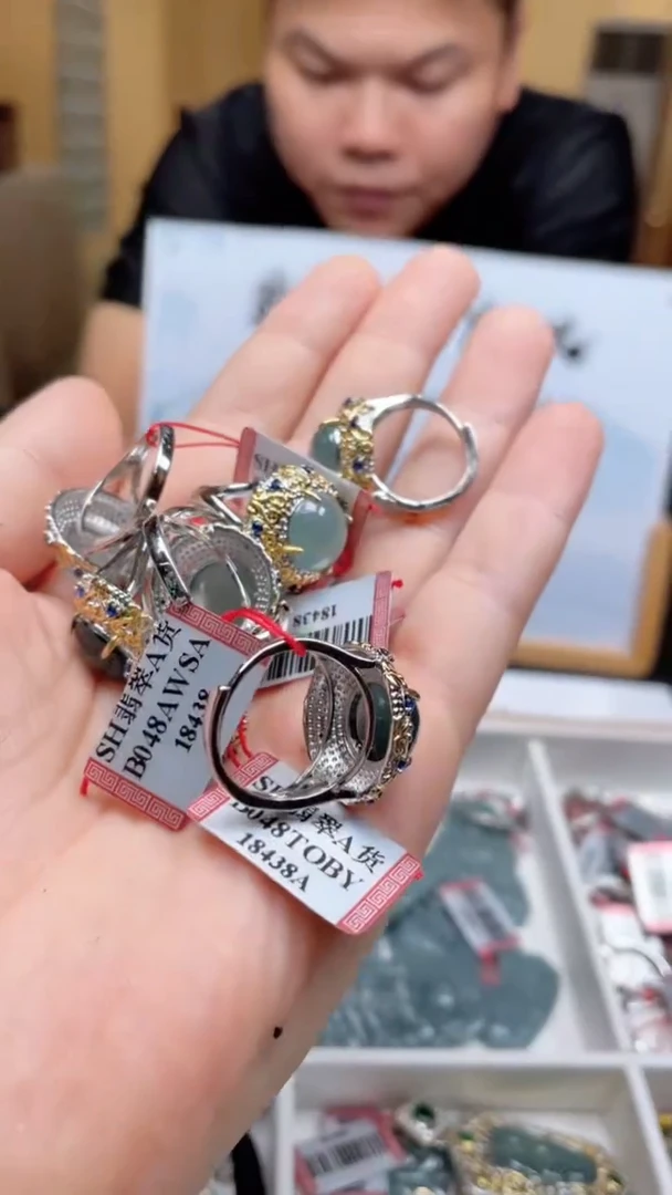 翡翠未镶嵌颈饰多样性发货（只发一件）x12