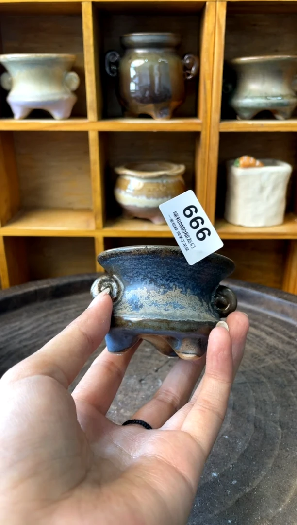 666【多肉花盆多肉盆】