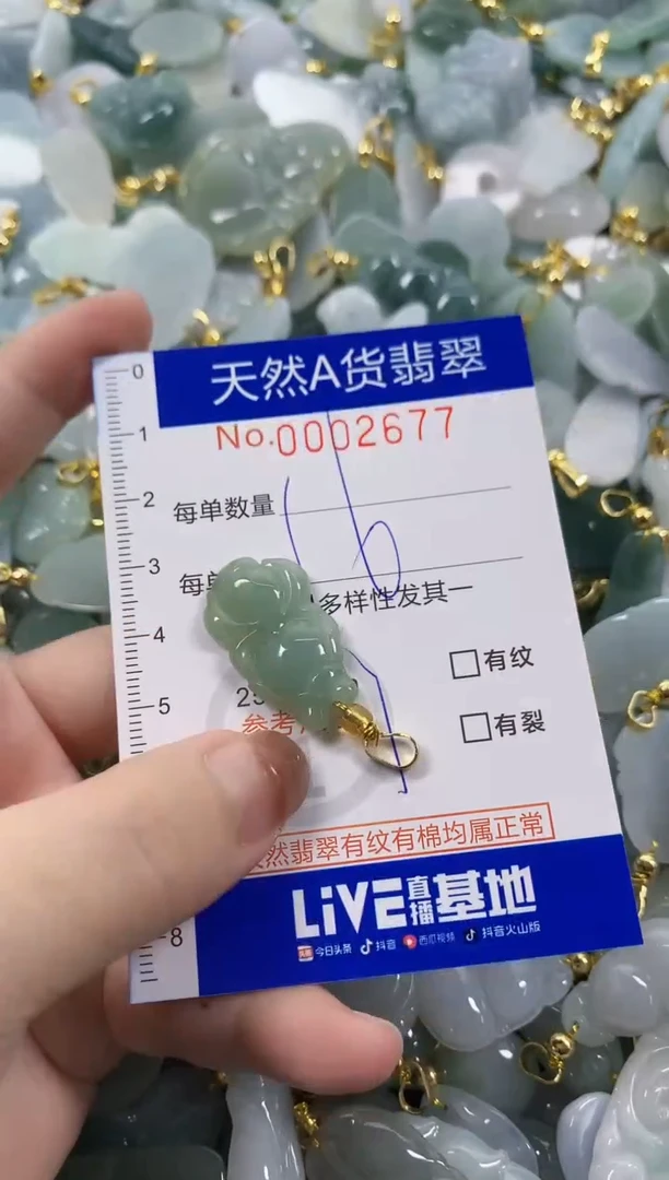颈饰未镶嵌翡翠天然A货翡翠