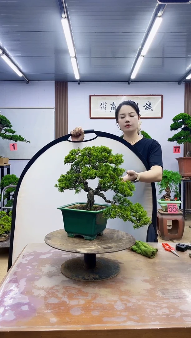 无花朵武000000000000