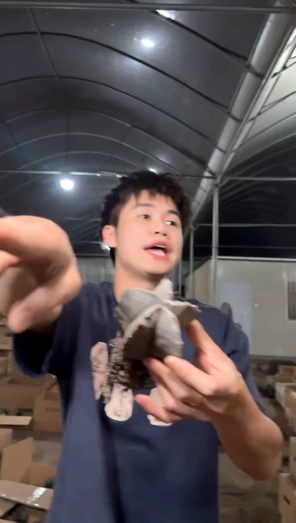 实生根 小号 鸾凤玉