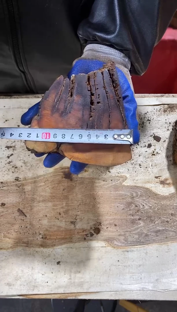 枣木【80】号原木段，尺寸随型