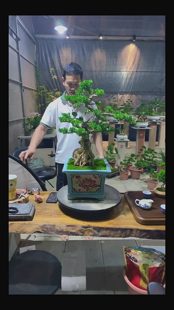 完全开放9*哥11111111