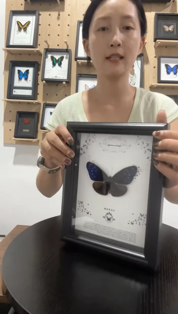 异型紫斑蝶蝴蝶装饰画